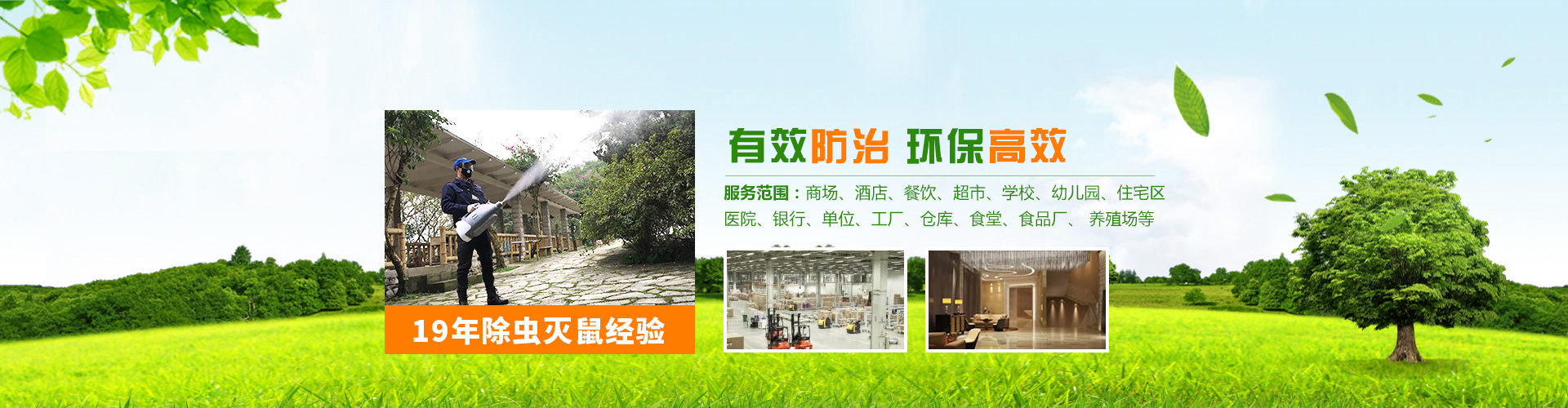 重慶專業殺蟲公司